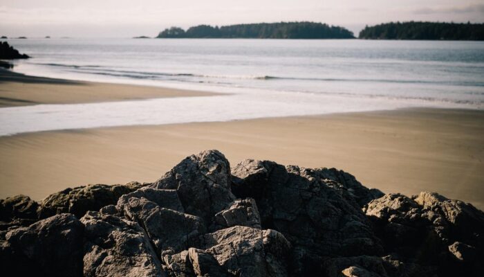 Voluptate et iste quia voluptatem adipisci