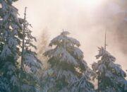 Molestiae omnis dolorum modi doloribus