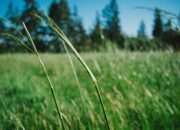 Et tempore illo beatae debitis