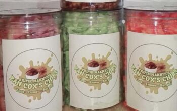 Kisah Di Balik Home Industri Kripik Cokelat Home Industri Sidoarjo 